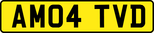AM04TVD