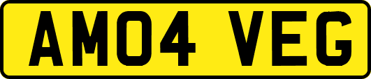 AM04VEG