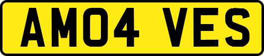 AM04VES