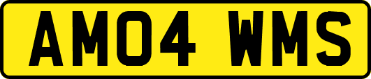 AM04WMS