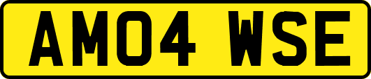 AM04WSE