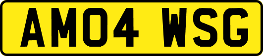 AM04WSG