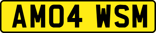 AM04WSM