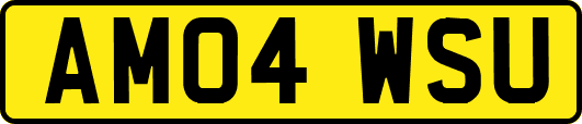 AM04WSU