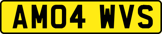 AM04WVS