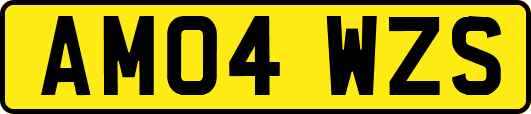 AM04WZS