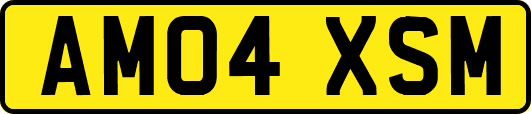 AM04XSM