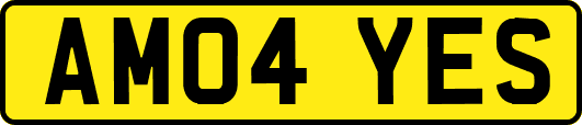 AM04YES