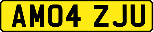 AM04ZJU