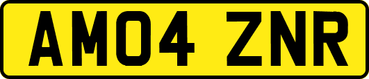 AM04ZNR