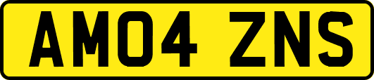 AM04ZNS