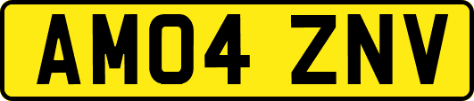AM04ZNV