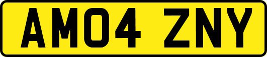 AM04ZNY