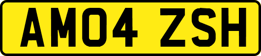 AM04ZSH