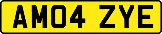 AM04ZYE