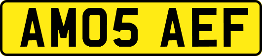 AM05AEF
