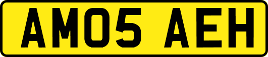 AM05AEH