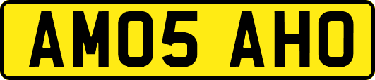 AM05AHO