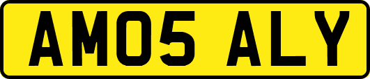 AM05ALY