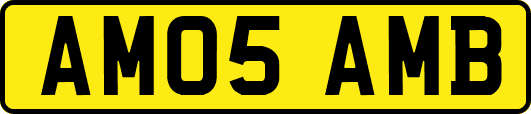 AM05AMB