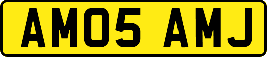 AM05AMJ