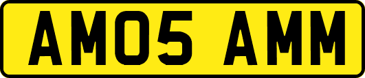 AM05AMM