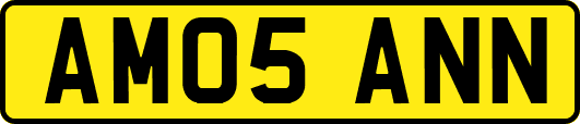 AM05ANN