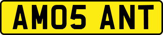 AM05ANT