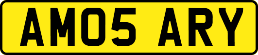 AM05ARY