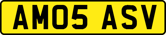 AM05ASV