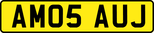 AM05AUJ