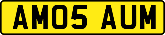 AM05AUM