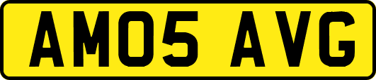 AM05AVG