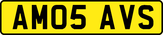AM05AVS