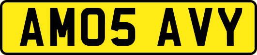 AM05AVY