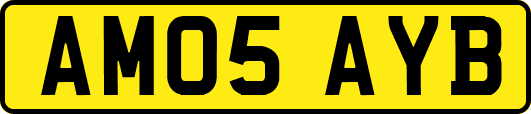 AM05AYB