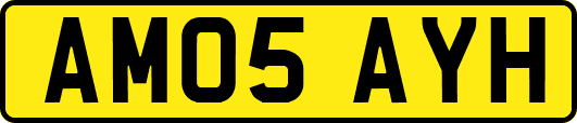 AM05AYH