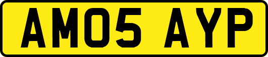 AM05AYP