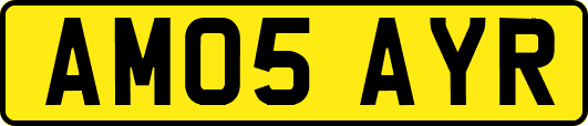 AM05AYR