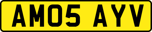 AM05AYV