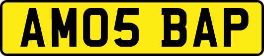 AM05BAP