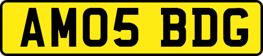 AM05BDG