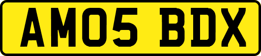 AM05BDX