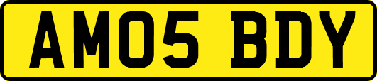 AM05BDY