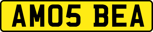 AM05BEA