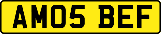 AM05BEF