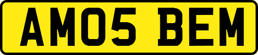 AM05BEM