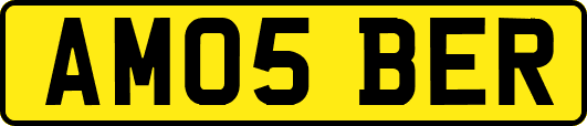 AM05BER