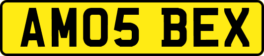 AM05BEX
