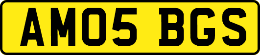 AM05BGS